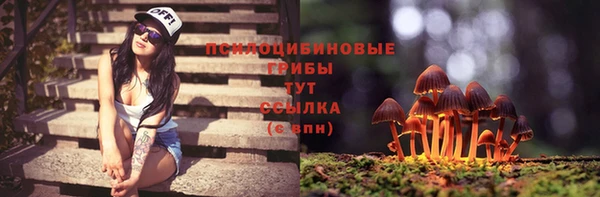 СК Заволжье