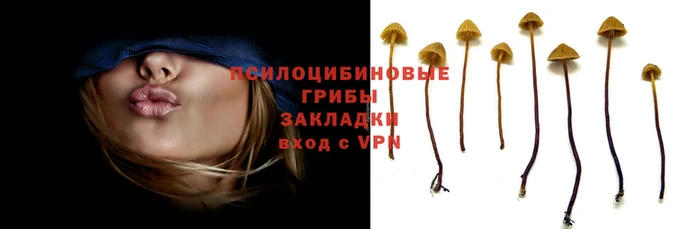 кокаин колумбия Надым