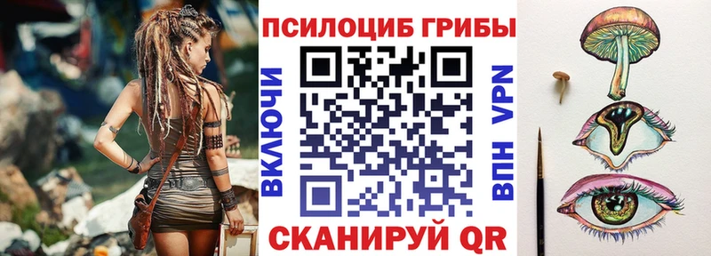 где продают наркотики Курган Псилоцибиновые грибы мицелий