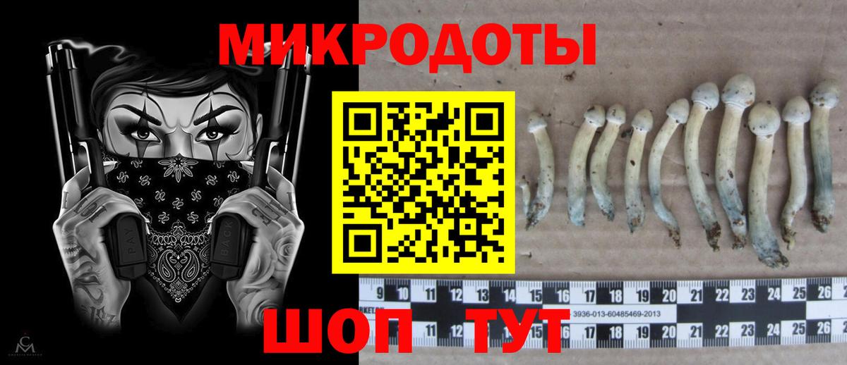 Псилоцибиновые грибы ЛСД  Галлюциногенные грибы GOLDEN TEACHER  Курган 